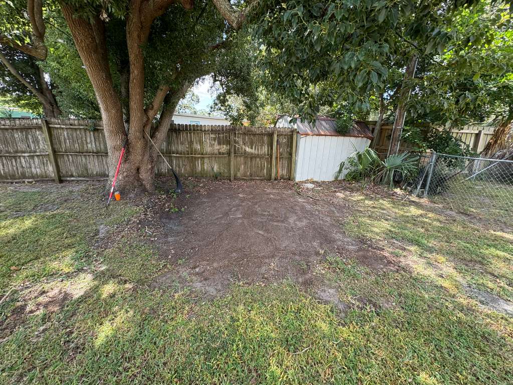 Yard after cleanup by Pinellas Lawn Care