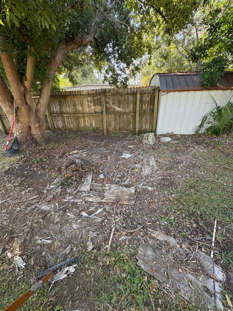Yard before cleanup